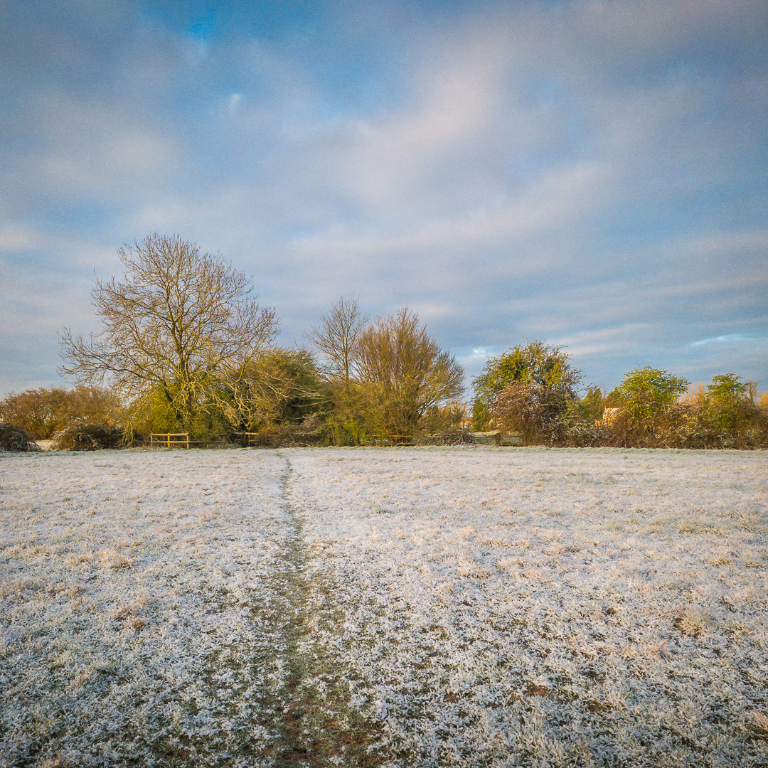 Snow on the fields