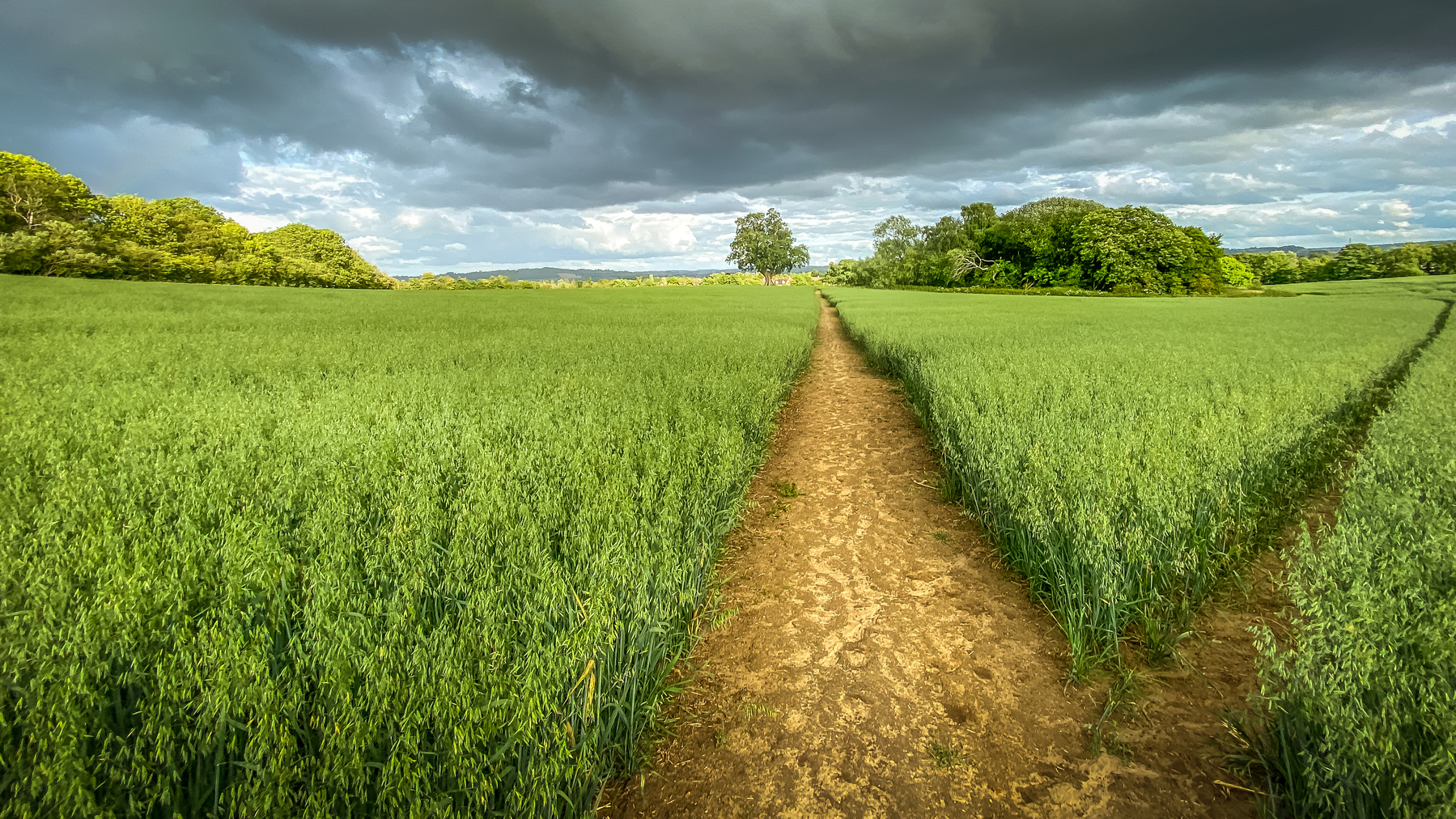 photo of a path in a field leading to sutton benger, a large village in wiltshire, uk