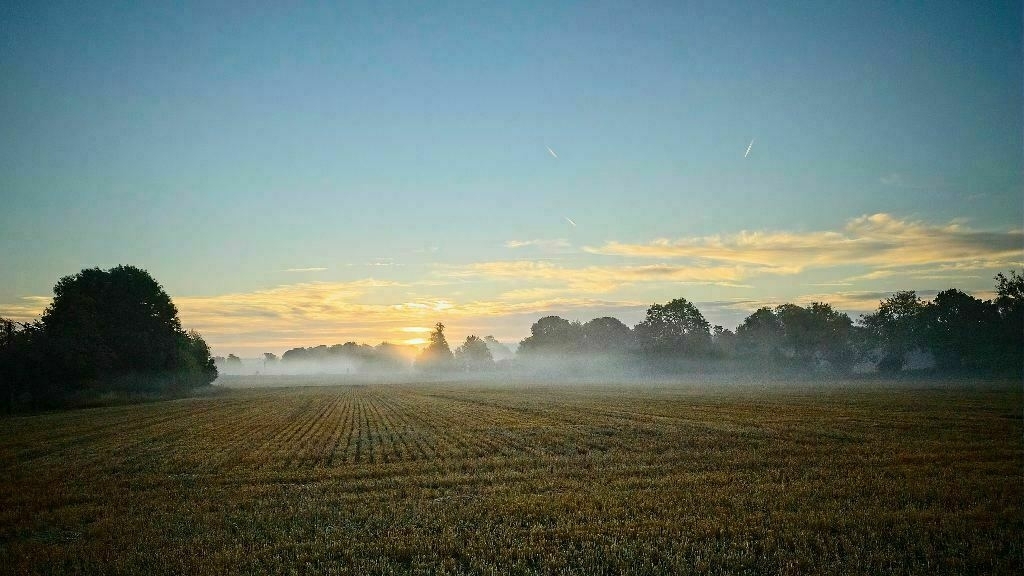 Photo of mist over the fields in the early morning
