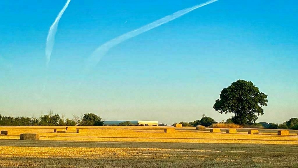 photo of fields with lines in the sky