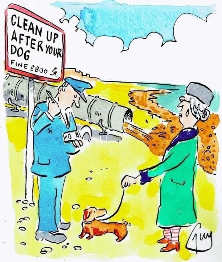 cartoon of a lady being fined for dog mess